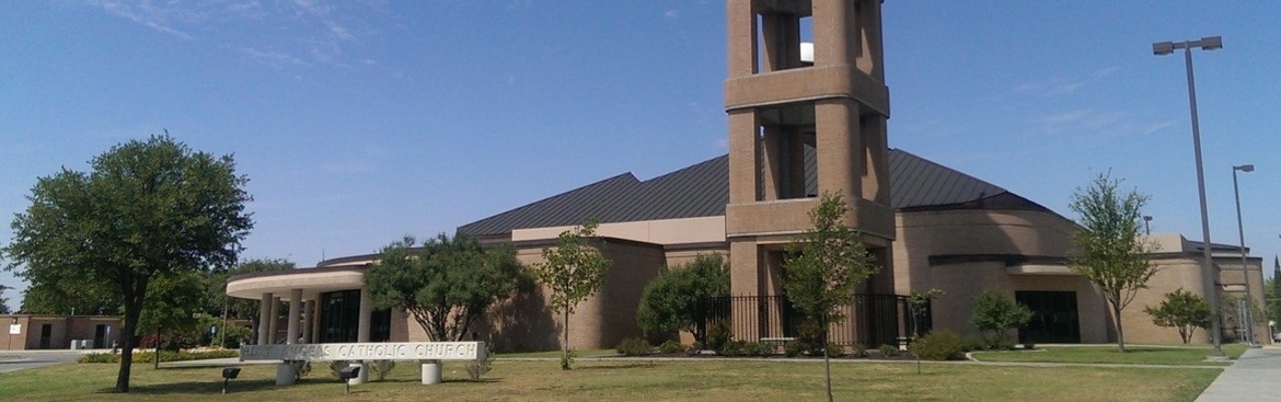 Holy Angels Council 12008